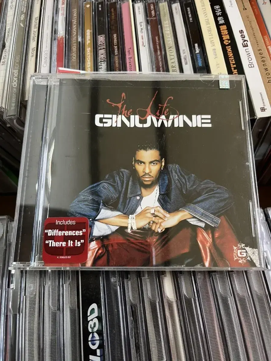 지누와인 (Ginuwine) - The Life