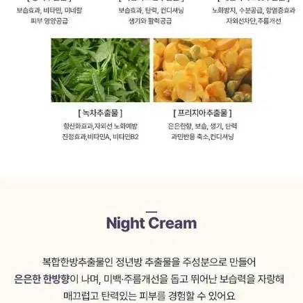 다솜 올인원 톤업&수분 크림 (즉각 톤업& 고보습)