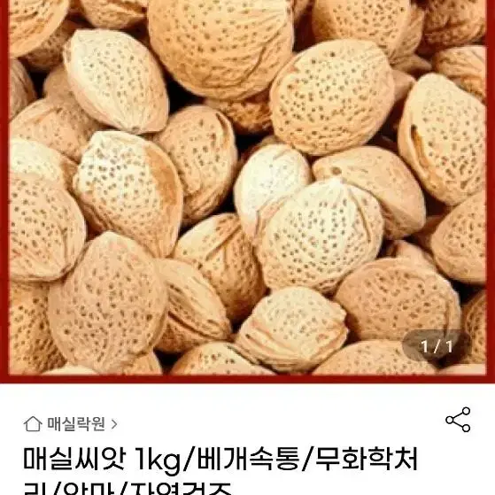 매실 씨앗