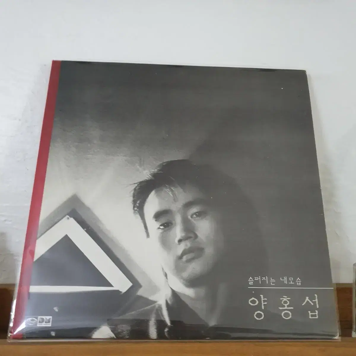 양홍섭  LP  1988      슬퍼지는내모습