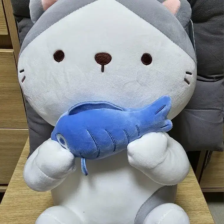 고양이 인형