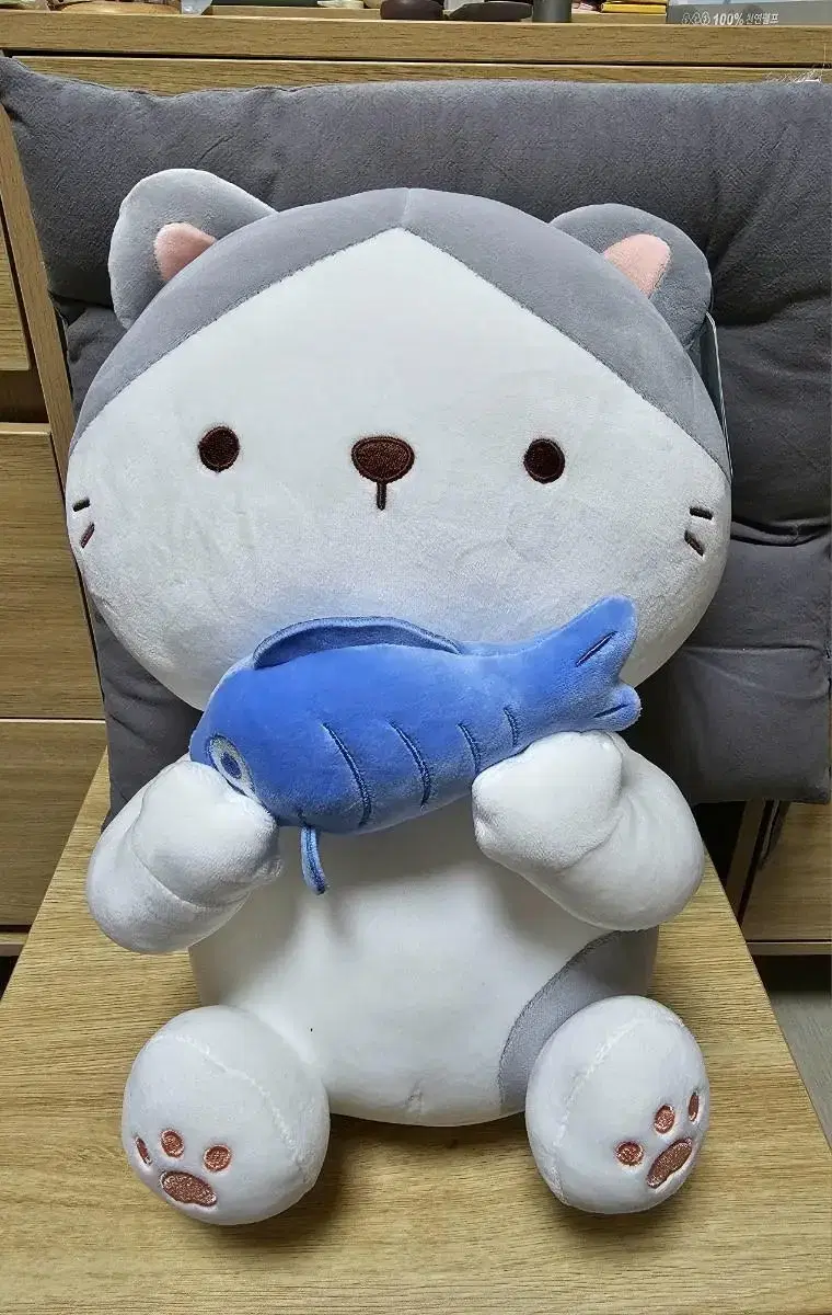 고양이 인형