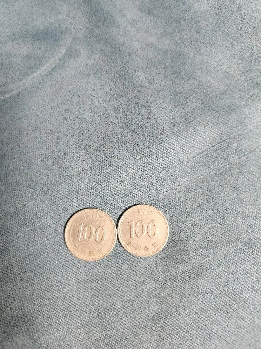 1987년도 100원 동전