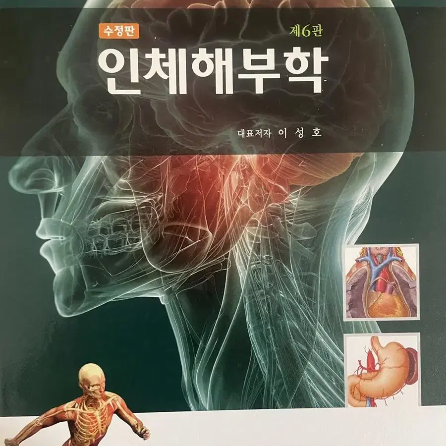 해부학 현문사