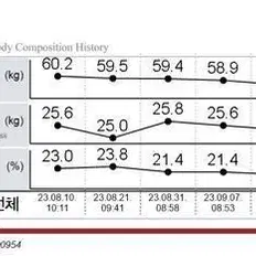 웰빙원 천연재료 숙변제거 /다이어트 이너뷰티 환