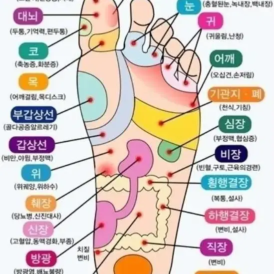 고주파ㅡ비고르바른건강