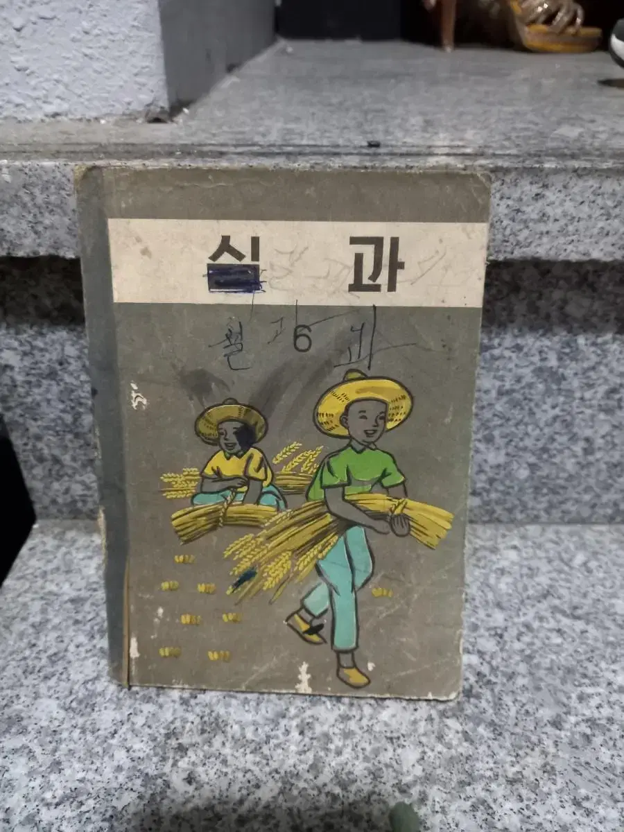 1960년 실과교과서