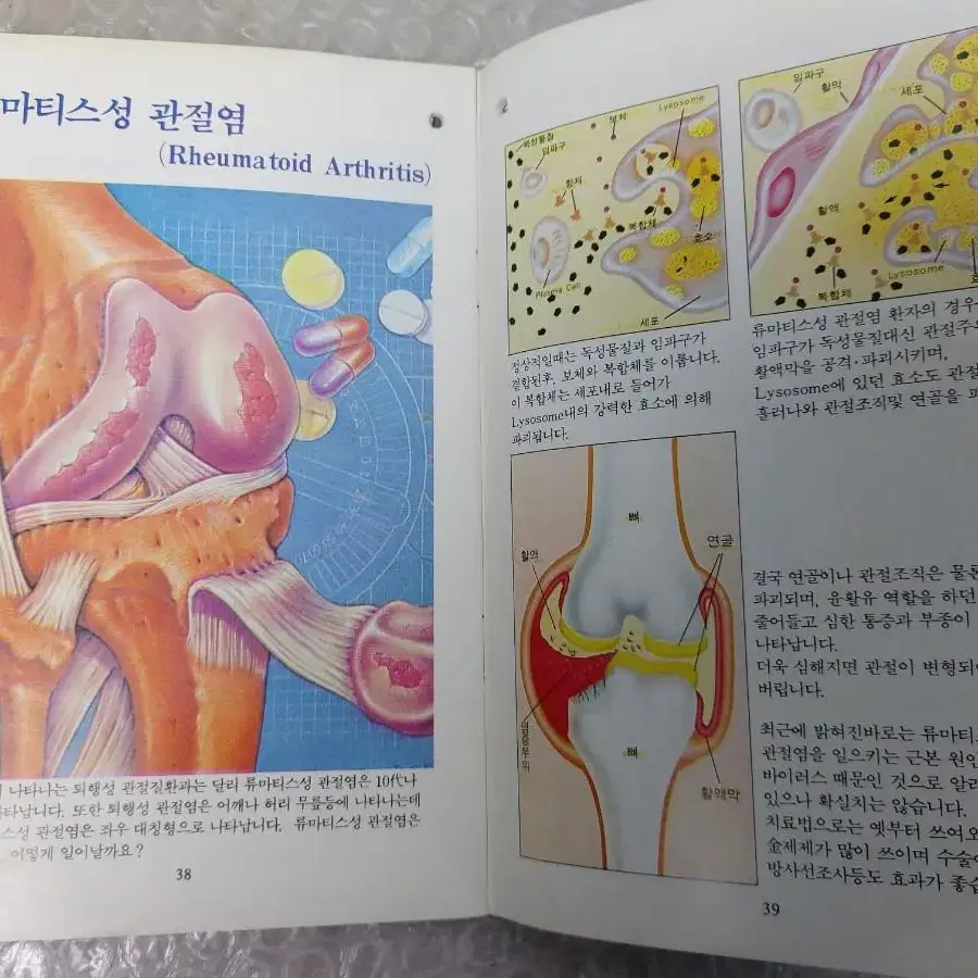 의학 만병 질환 처방 방법 서적 빅베어(BigBear) 잡지 19권