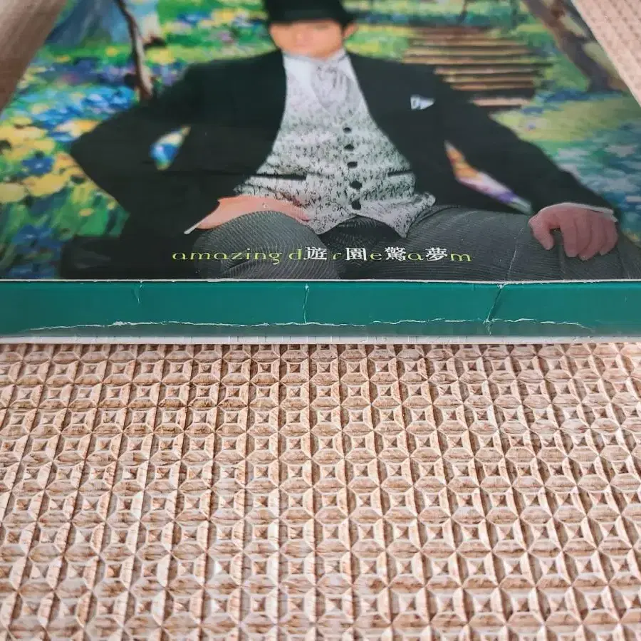 곽부성 음반 CD+VCD 홍콩판