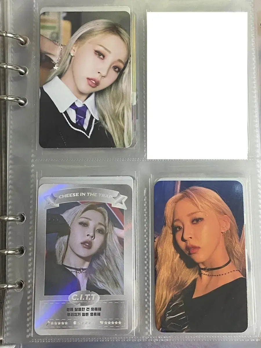 [bulk] mamamoo moonbyul pre-order benefit photocard Chintz Photo Cards