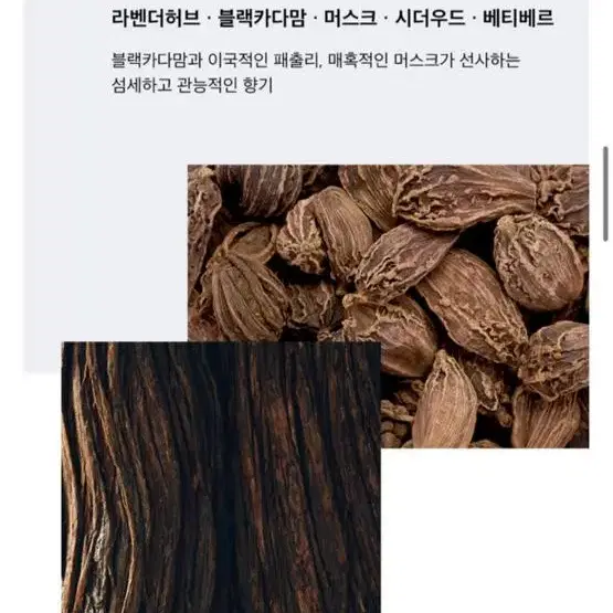 렘버 컴클로저 오 드 퍼퓸 남자 중성 니치 향수 새제품 50ml /머스크