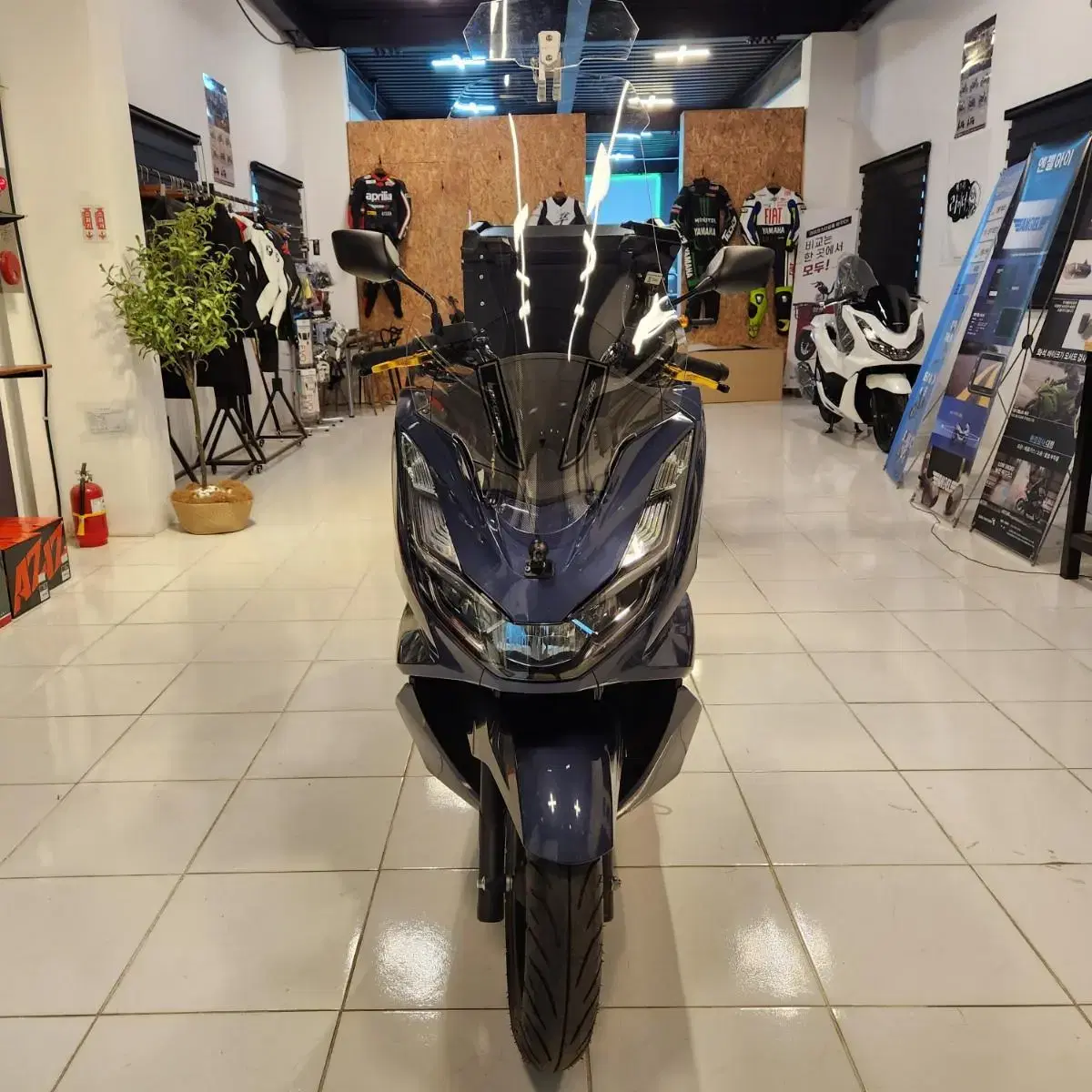 PCX125 신차 18개월 무이자 할부 풀옵션 차량