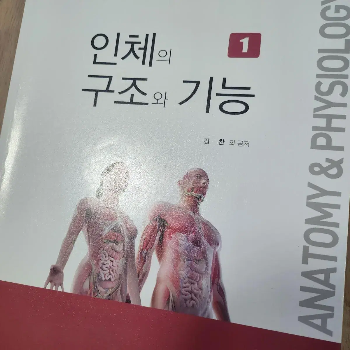 인체의구조의 기능