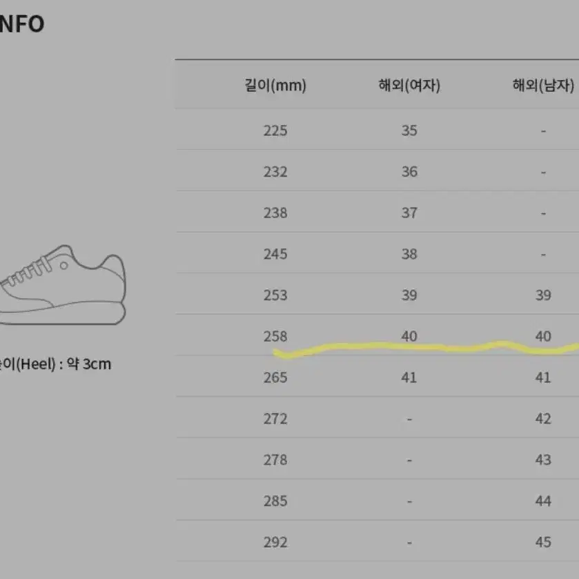 골든구스 하이스타 스니커즈 (집에서 한번 신어본)