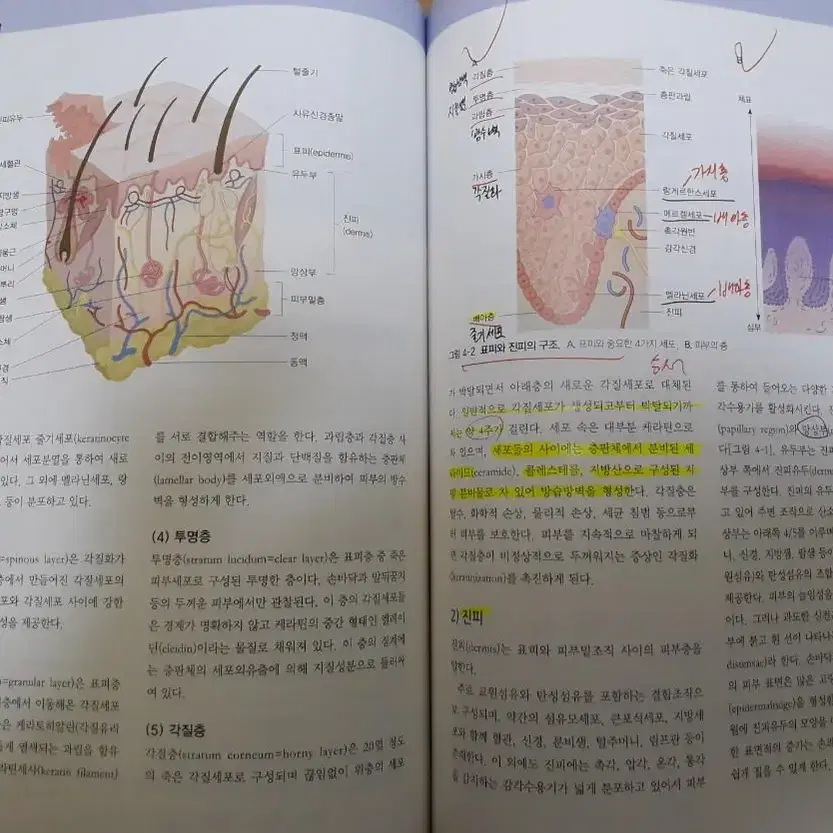 알기쉬운 인체생리학 고문사