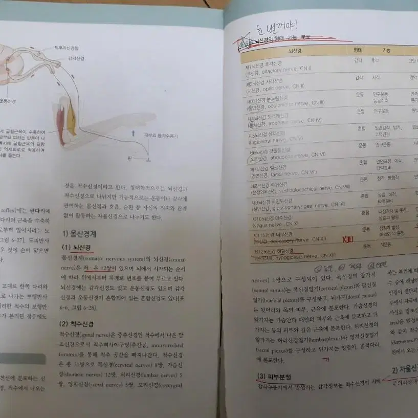 알기쉬운 인체생리학 고문사