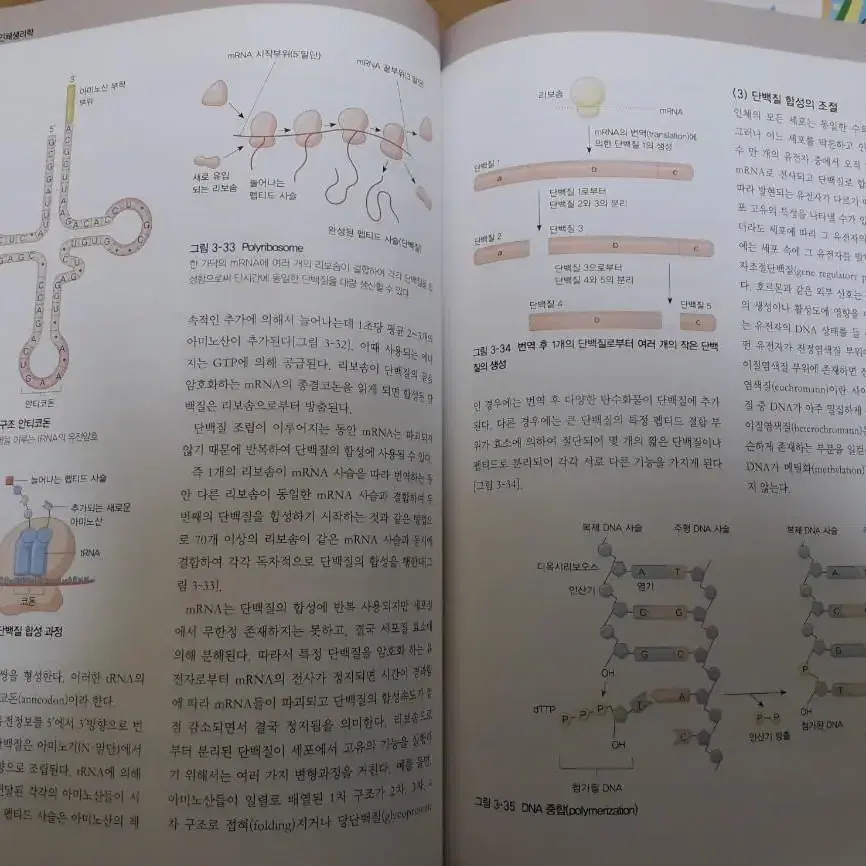 알기쉬운 인체생리학 고문사