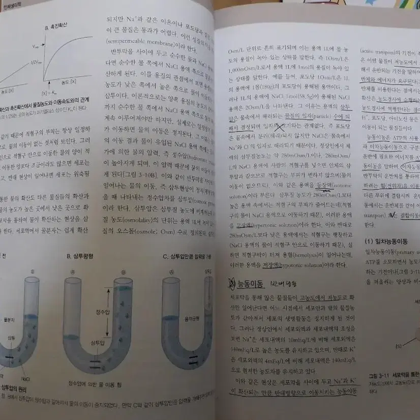 알기쉬운 인체생리학 고문사