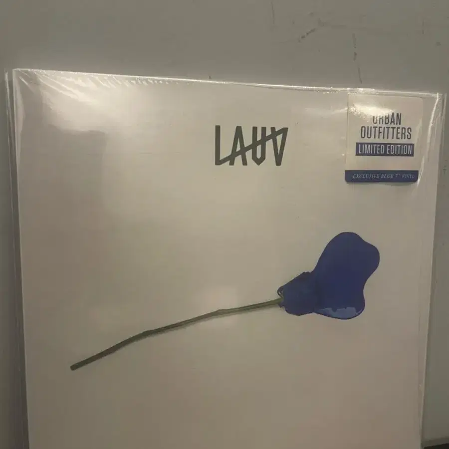 LP, lauv 7inch 한정반으로 아이묭 키미록 교환