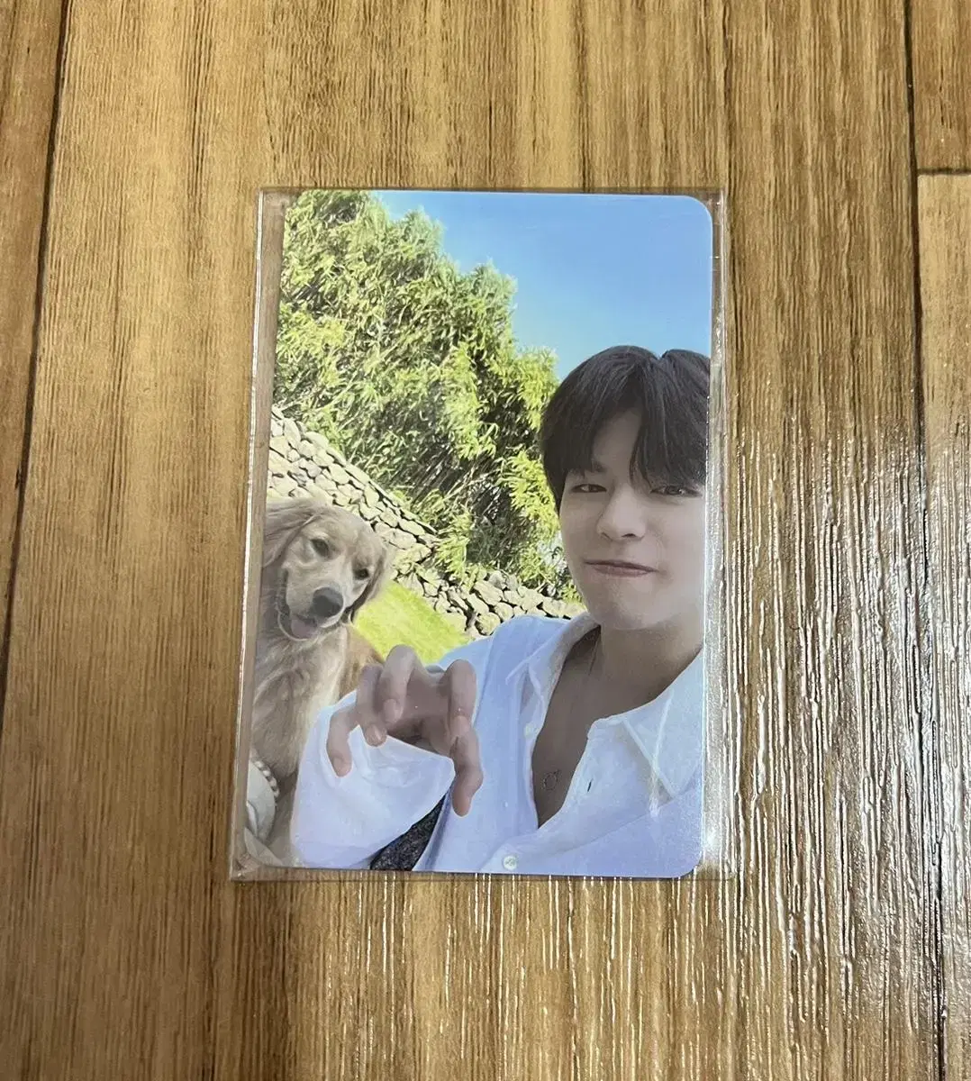 Straykids seungmin puppy show randomphotocard unsealed