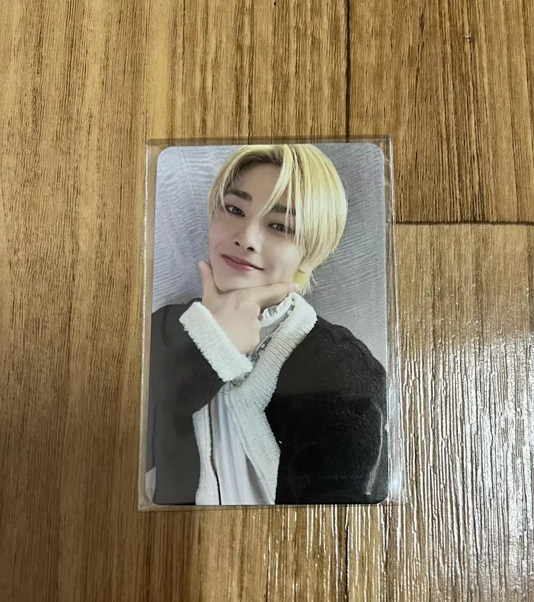 Straykids i.n exhibition random photocard unsealed