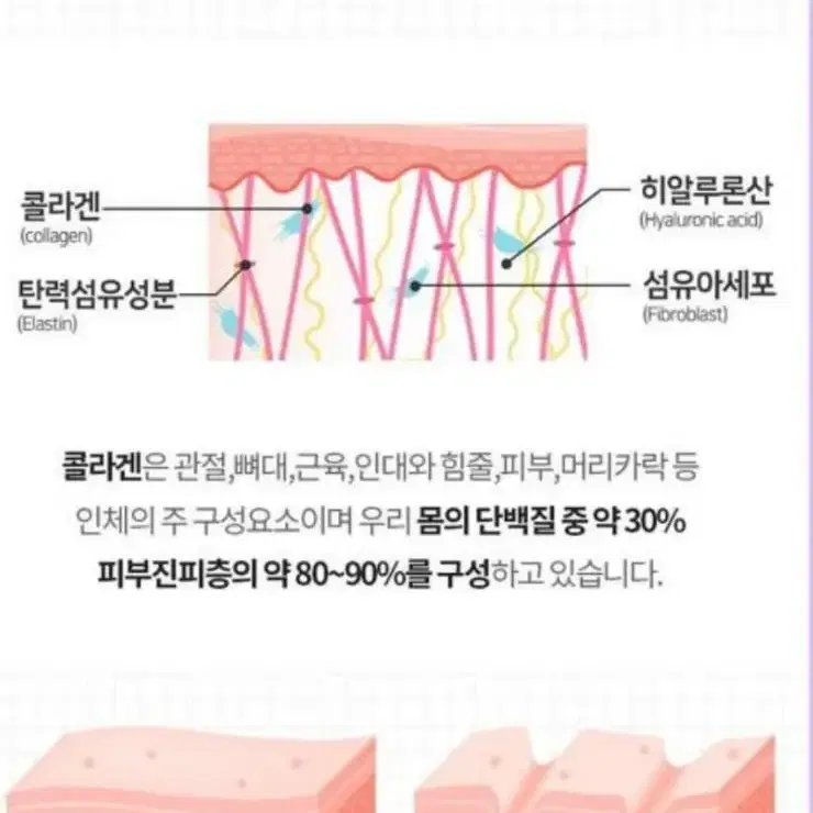 저분자피쉬콜라겐 휴대용 간편식