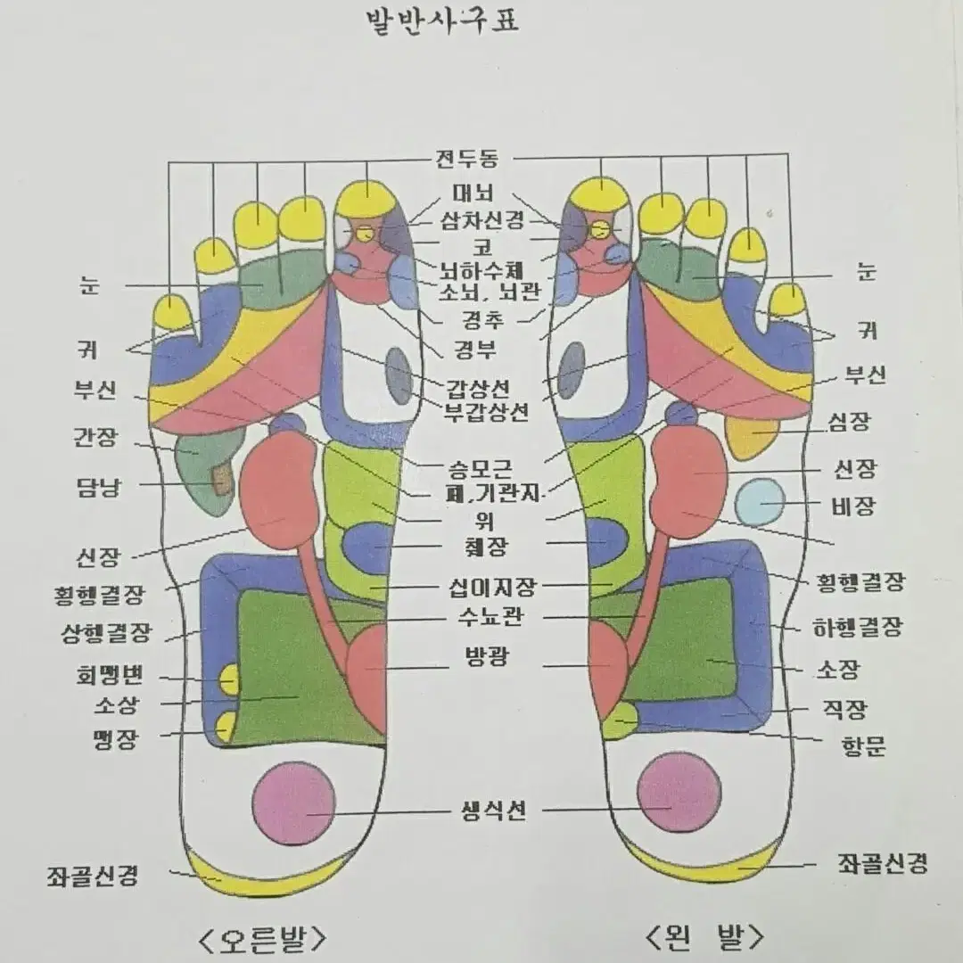 고주파 비고르바른건강