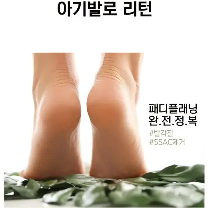 더마 패디플래닝 스크래퍼 발각질제거 풋케어 패드블레이드 페디나이프 각질