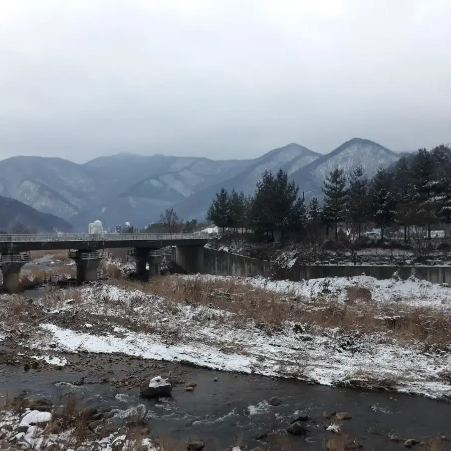 미국 달러 삽니다.