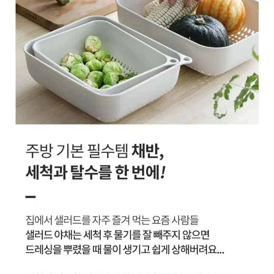 세척과 탈수를 한번에 채반