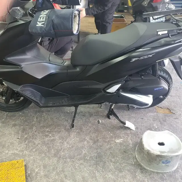 pcx