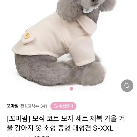 강아지 봄 코트 봄 옷 판매