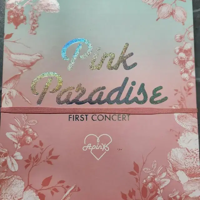 (한정판) 에이핑크 콘서트 DVD 3EA