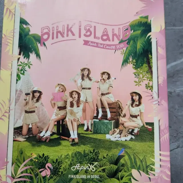 (한정판) 에이핑크 콘서트 DVD 3EA