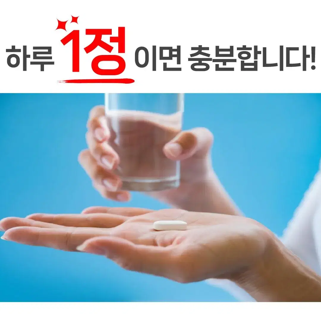 [2+1]필리안즈 장용성 효능 락토페린 다이어트 식약처 HACCP 인증