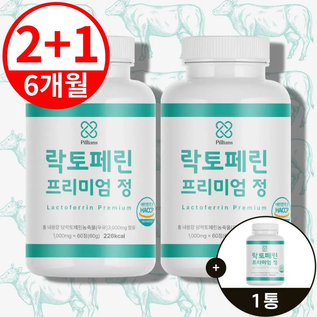 [2+1]필리안즈 장용성 효능 락토페린 다이어트 식약처 HACCP 인증