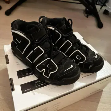 nike uptempo 10.5