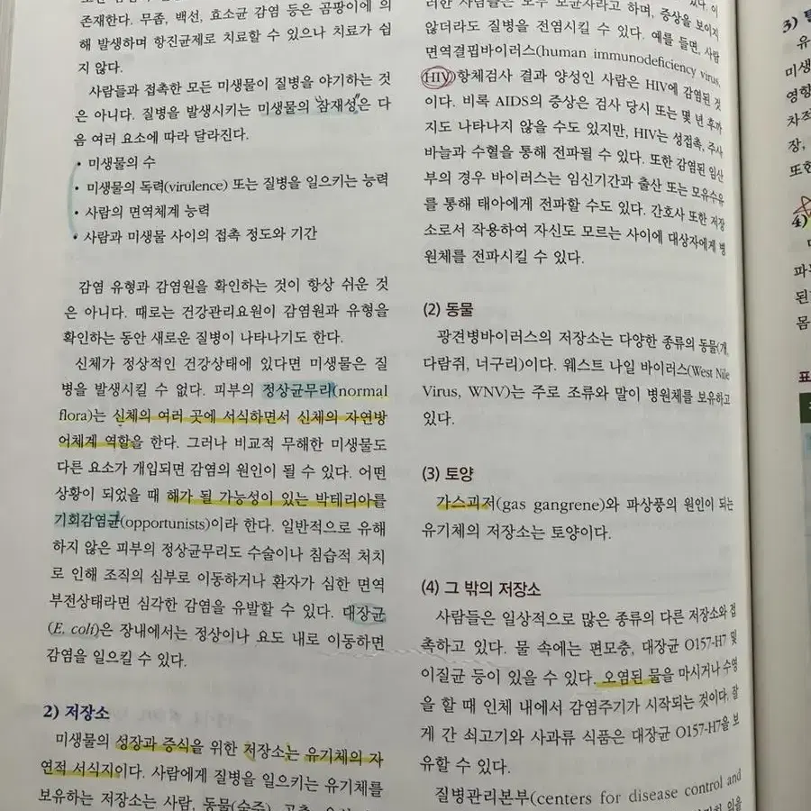 기본간호학 1