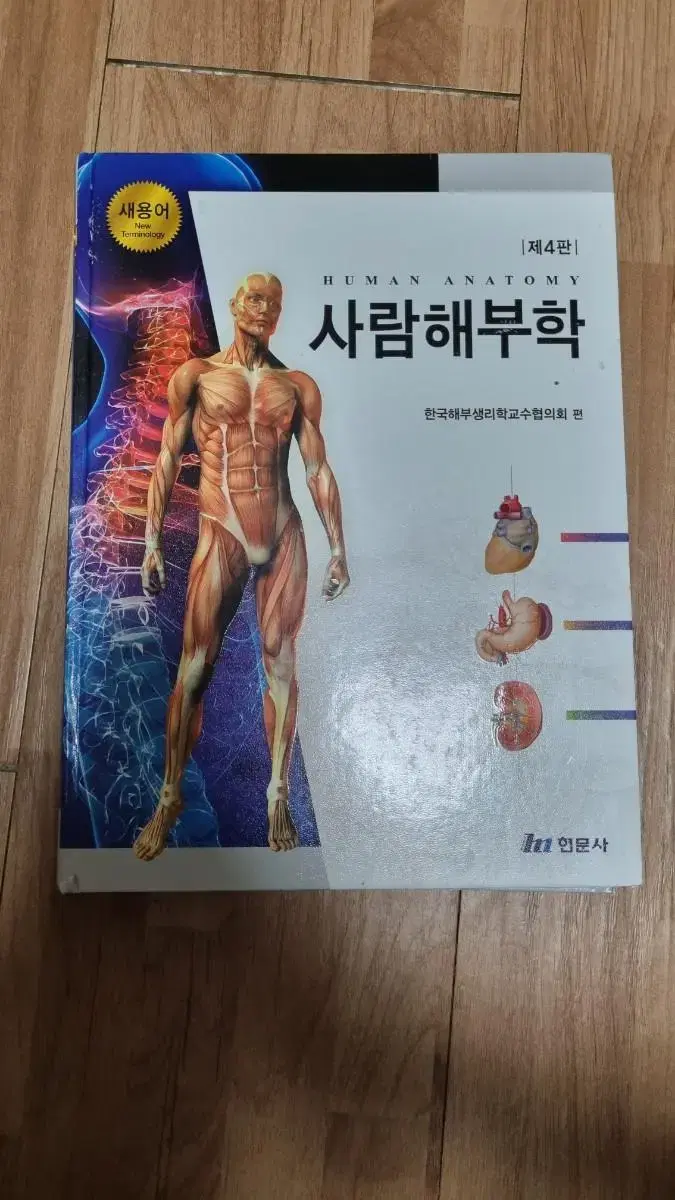 사람해부학