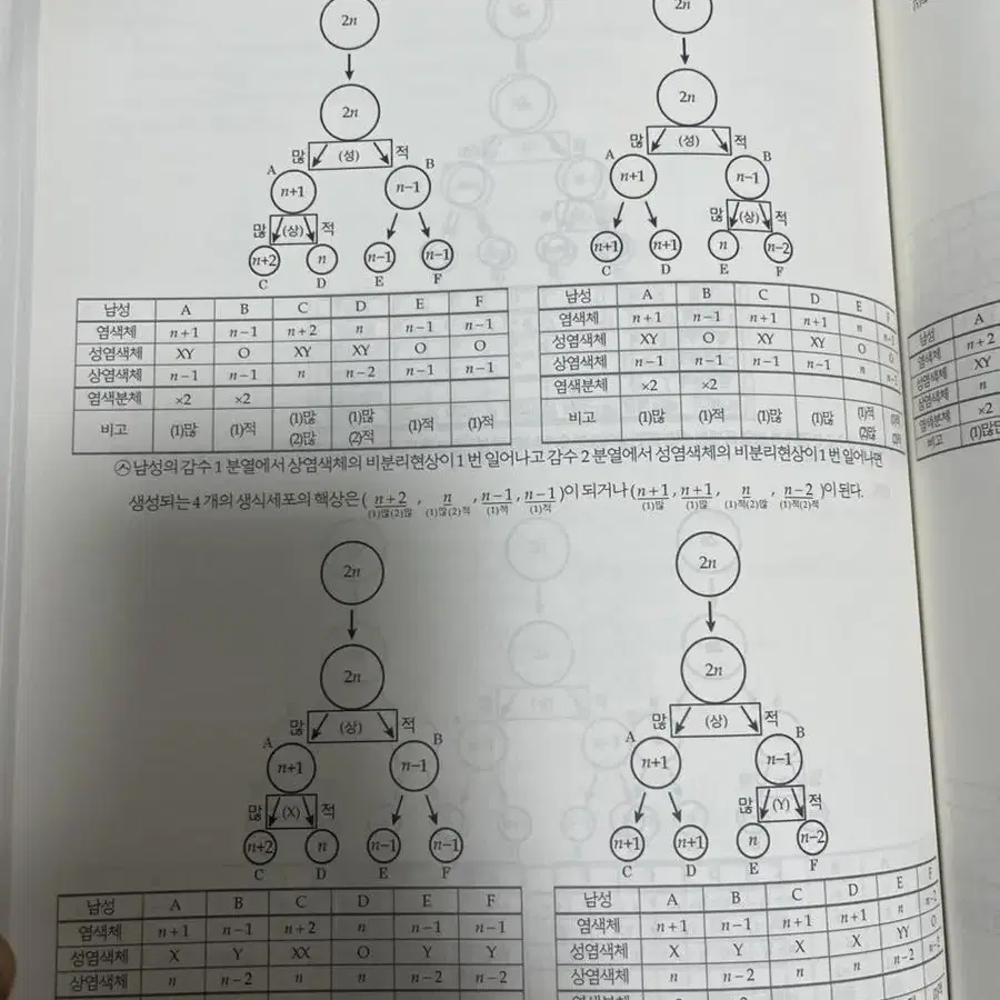 윤도영 유전 개념교재