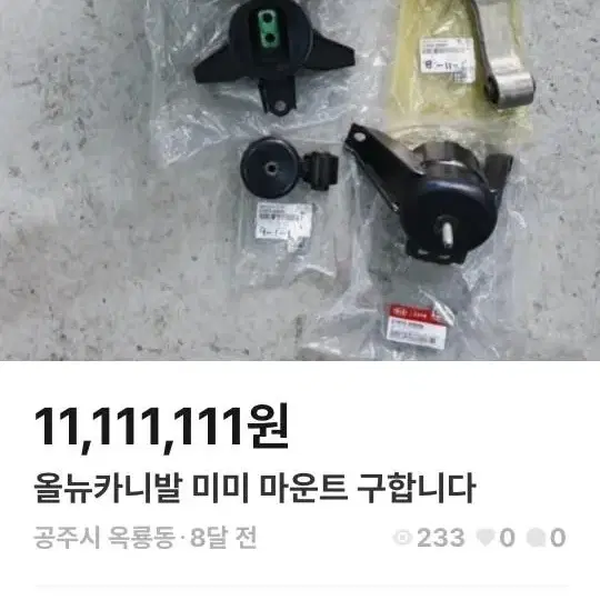 올뉴카니발 미미한대분