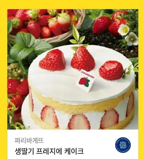 Paris Baguette Fresh Strawberry Fraisier Cake