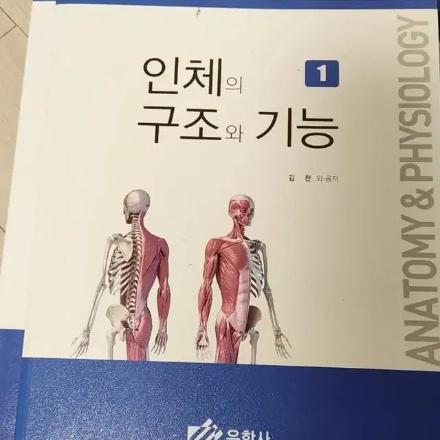 인체의 구조와 기능