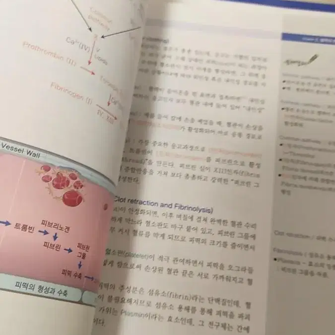 인체의 구조와 기능