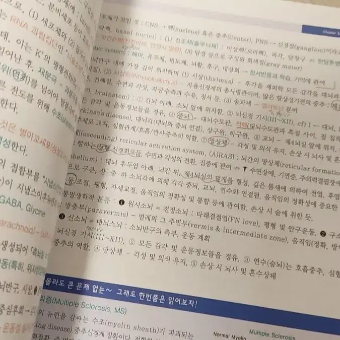 인체의 구조와 기능