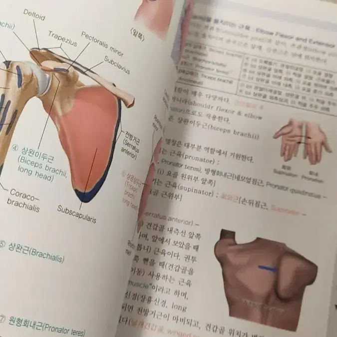 인체의 구조와 기능