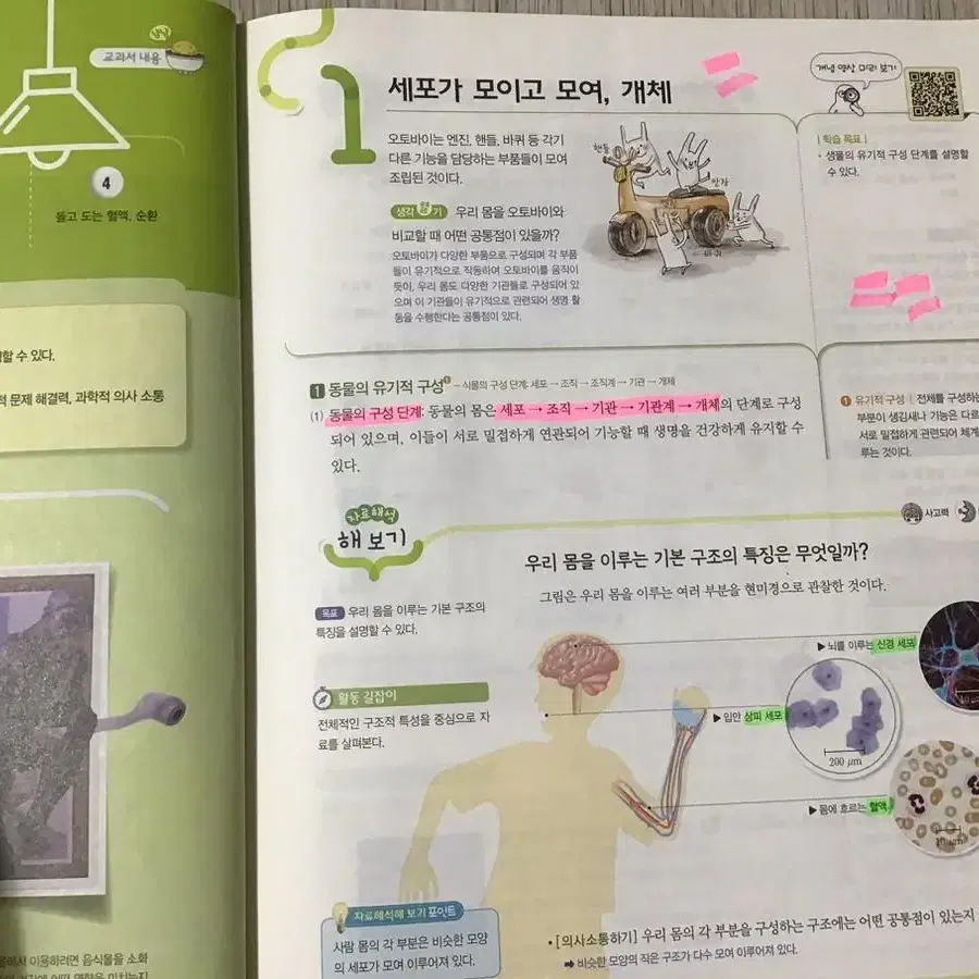 천재교과서 중학교 2학년 1~2학기 과학 자습서