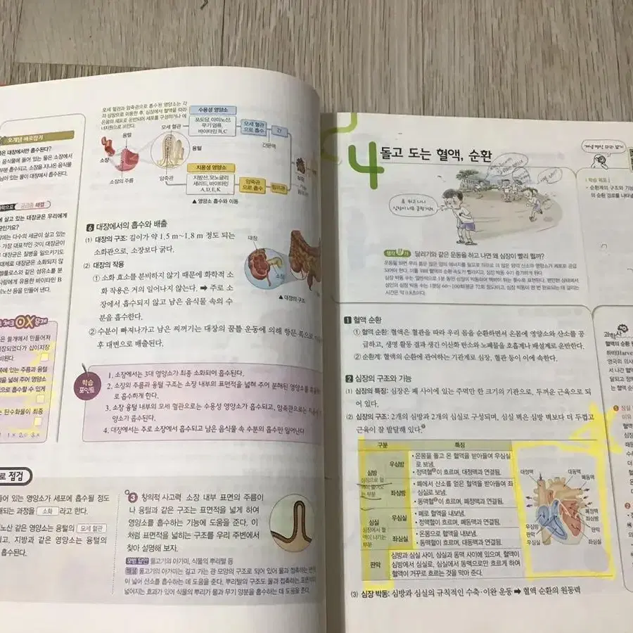 천재교과서 중학교 2학년 1~2학기 과학 자습서