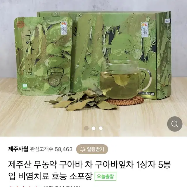 제주사월 구아바건잎 1개입