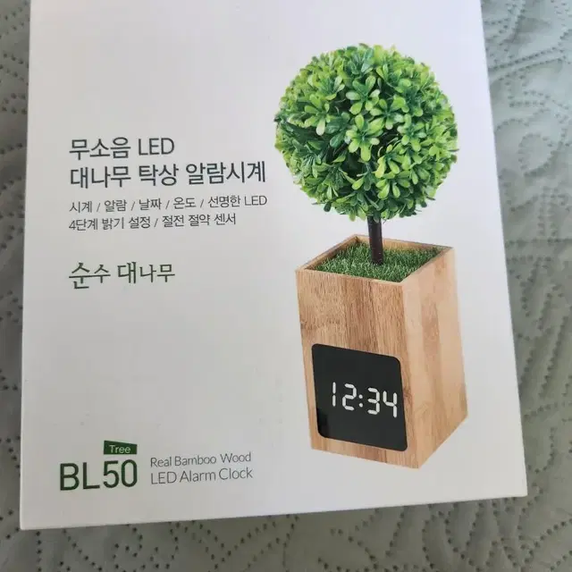 코비 대나무 무소음 LED 알람시계 BL50